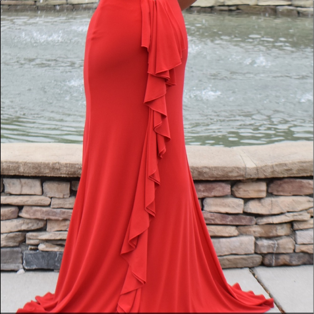 Formal Dress - Picture 4 of 4